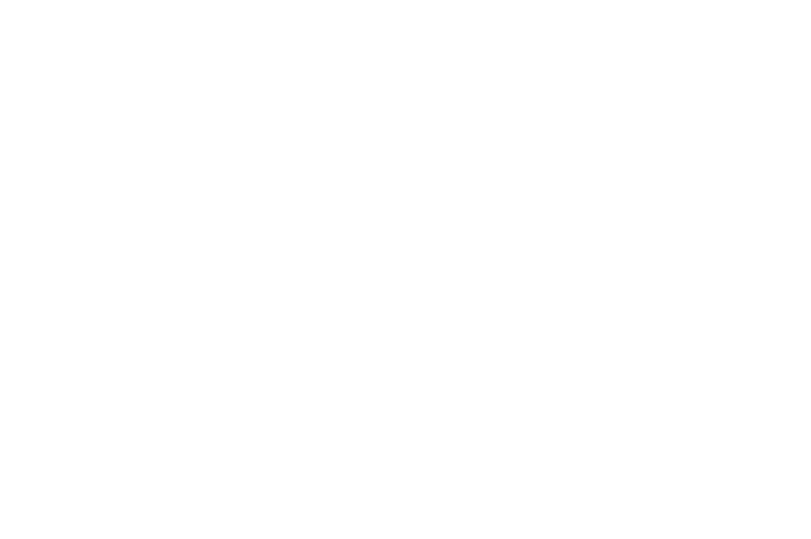  Ankle patrol logo